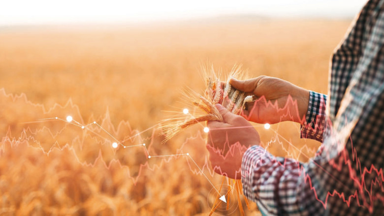 البنك الدولي يطلق مبادرة لتعزيز الأمن الغذائي العالمي