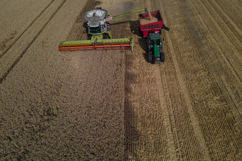 تحذيرات من أزمة غذاء عالمية إثر ارتفاع أسعار الأسمدة والأرز