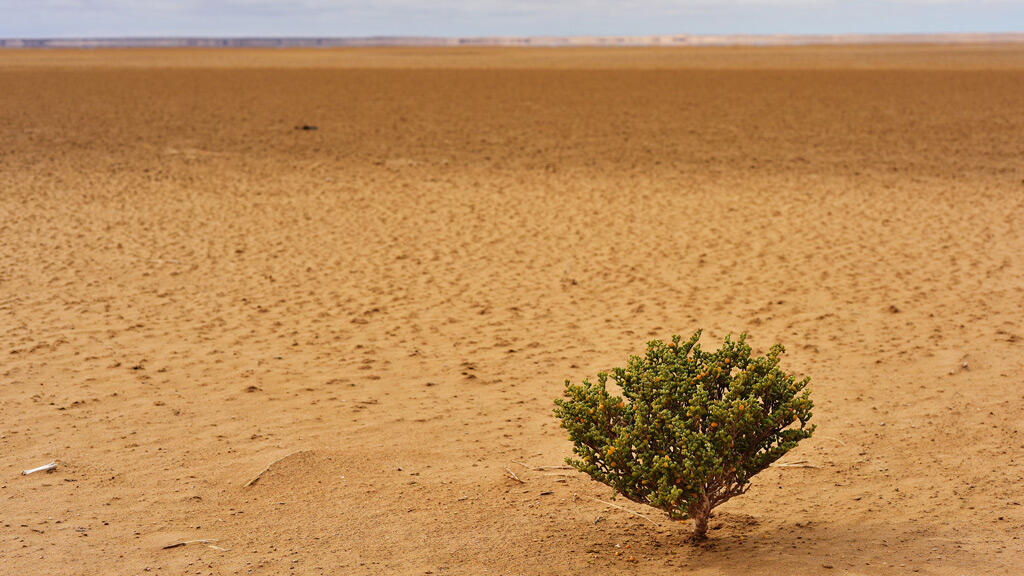 تخفيض توقعات النمو في أفريقيا جنوب الصحراء إلى 4.3٪ متأثرة بالأزمات الإقليمية