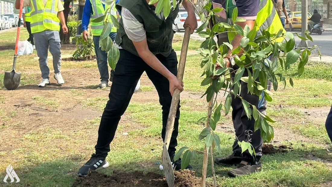 Iraq Launches Largest National Afforestation Campaign Including Two Million Trees