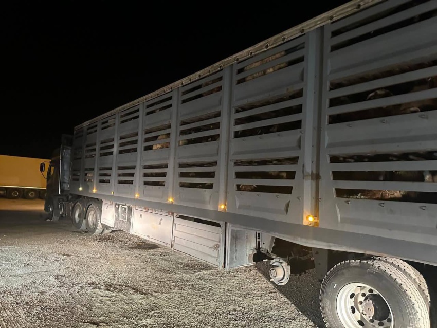 Iraq Receives the First International Overland Transit Shipment from Syria to Kuwait