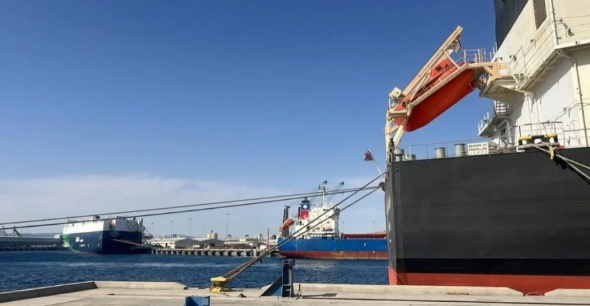 وصول شحنات ضخمة من المواد الغذائية إلى ميناء العقبة لتعزيز الأمن الغذائي العراقي