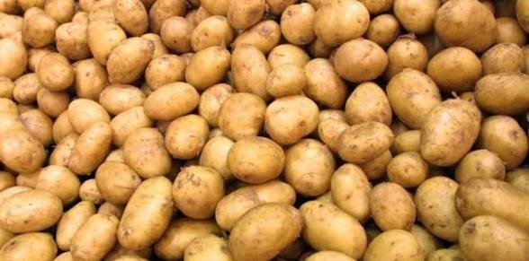 Ministry of Agriculture Opens Imports for Essential Vegetables and Exempts Animal Products from Customs Duties