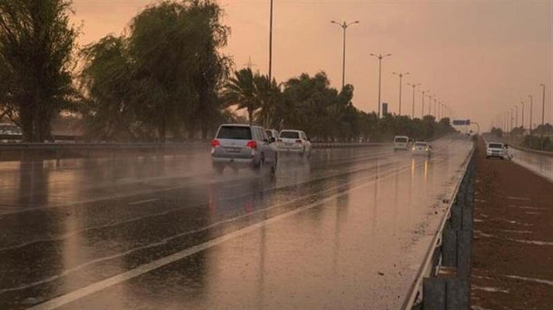 Climatic indicators signal a promising rainy season above average in Iraq