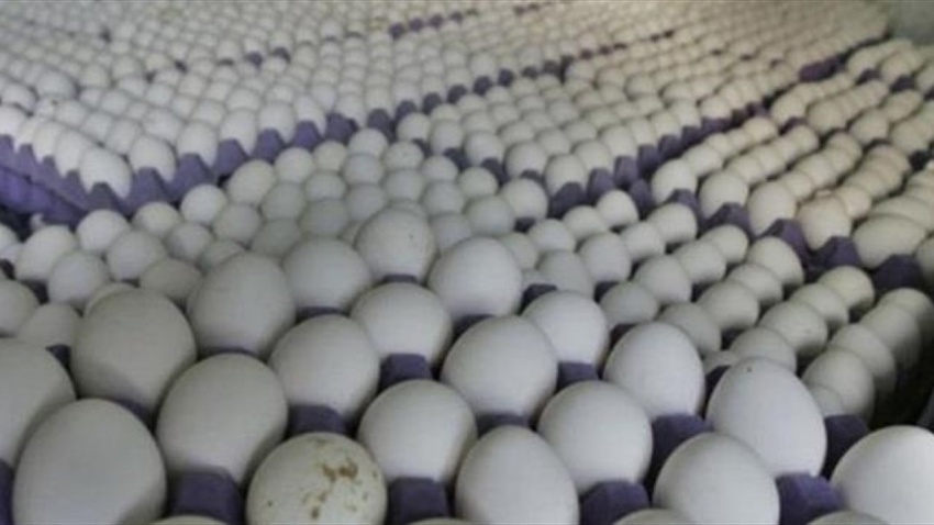 Commencement of Implementing the Decision to Zero Customs Duties on Basic Foodstuffs and Medicines
