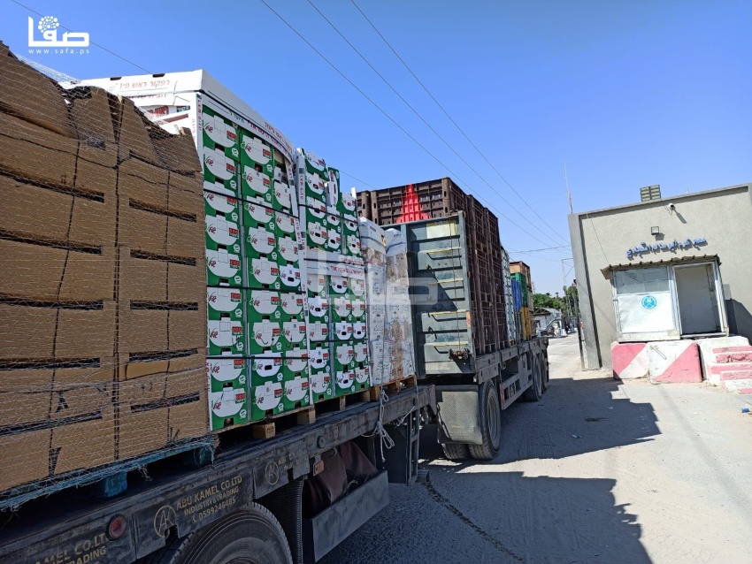 Delaying the Decision to Ban Apple and Pomegranate Imports and Opening Border Crossings for Them