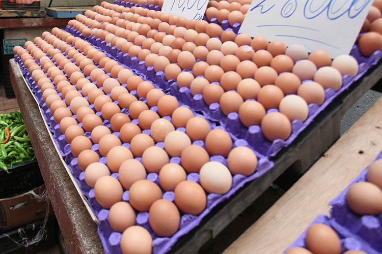 Ministry of Agriculture Denies Health Risks in Imported Eggs and Warns Against Rumors